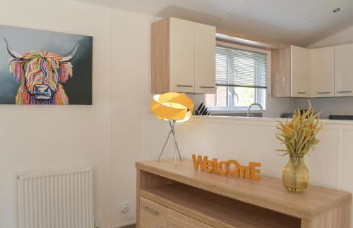 Devin Lodge - Foto 6