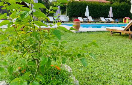 THE MANSION OF DIONISOS AND DIMITRAS 2 - Foto 6