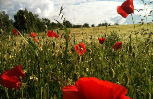 Gites De L'Etang Des Noues - Photo 55