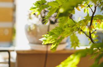 Villa ElSi, Where Relaxation and Elegance Meet - Foto 72