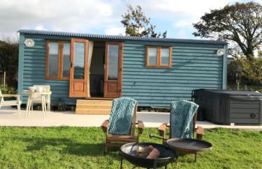 Ty Beti at Gorlan yr Efail Shepherds Hut with Private Hot Tub - Foto 16