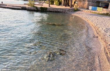 Apartments La Bombonera - Foto 79