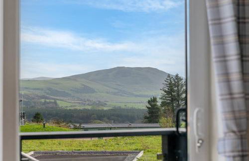 Birch Timber Holiday Lodge - Foto 6