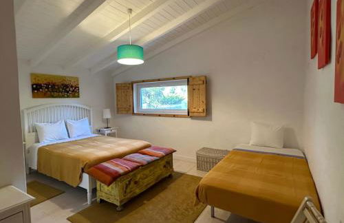 Courela do Monte Novo - Photo 44