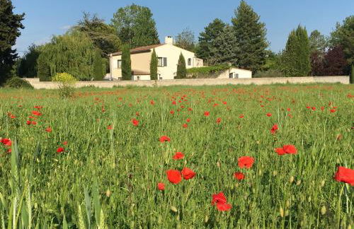 The Willow Tree - Photo 34