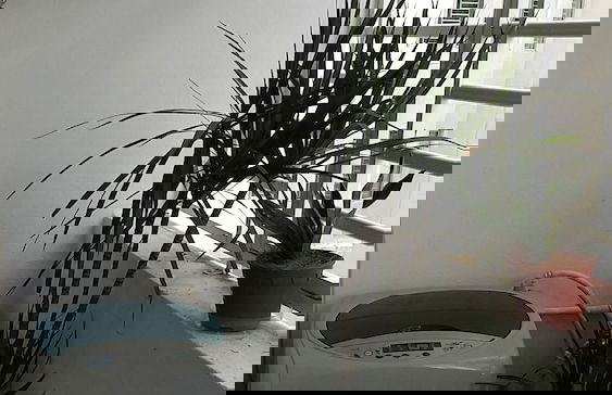 Family Suite DESA TEBRAU JOHOR BAHRU - Foto 62