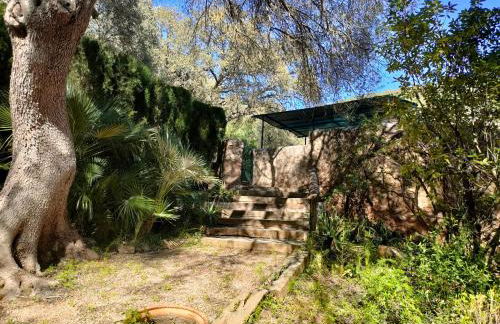 Sa Tafona Esporles "Finca Son Quint" - Photo 74