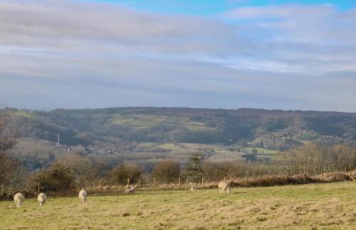 3 Sunnyside Terrace - Foto 30