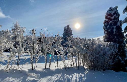 Le Hygge Chalet Gérardmer-Spa - Foto 8
