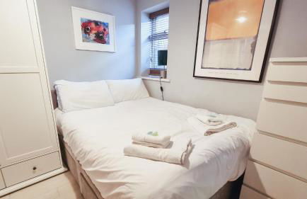 Cute & cosy 1 double bedroom garden flat - Foto 8