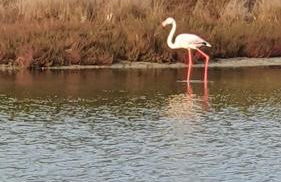 CARPE DIEM - Foto 19