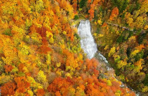 La perle du Jura - Foto 50