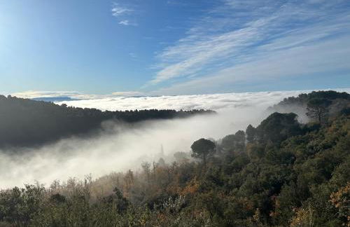 Les goûts et les couleurs - Foto 25