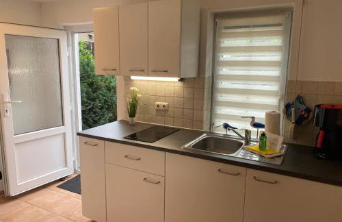 Fischer un sin Fru - Foto 8