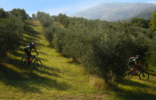 Agriturismo Fattoria Aquilone - Foto 30