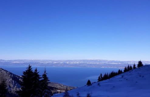 Studio Cosy les Perruches - Foto 19