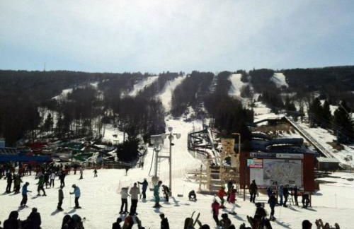 The Black Forest Chalet - Hot Tub, Hiking, Kayak - Foto 2