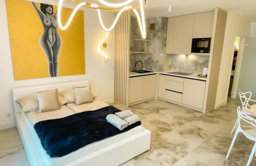 In&cognito Apartments Szamotuły with Parking and WiFi - Foto 3