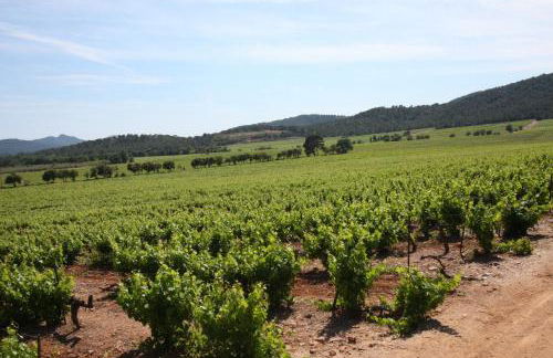 Domaine De Sigalous - Foto 22