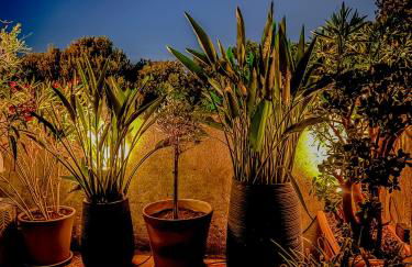 Residence Les Sources - Foto 13