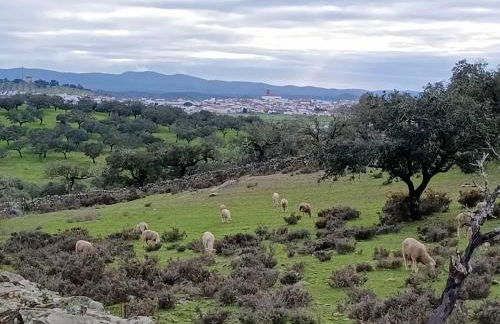 Casa de la Cruz - Foto 53