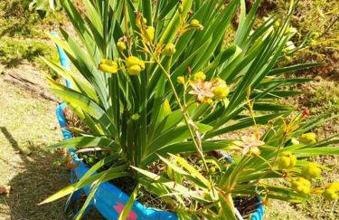 Casa de Campo Chácara Recanto da Águia - Foto 11