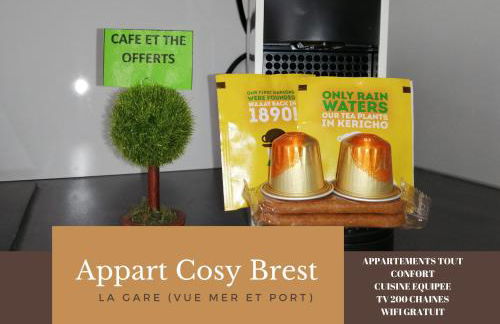 Appart Cosy Brest (La gare) vue mer - Foto 32