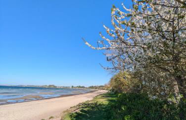 Oberdeck Ostsee - Foto 6