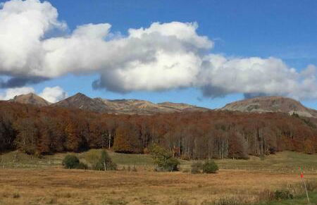Magnifique et lumineux appartement au cœur du Sancy - Foto 12