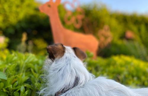 Waldweg 34 - Foto 15