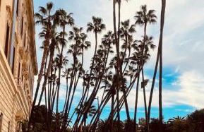 Apartamenty MERION - Photo 33