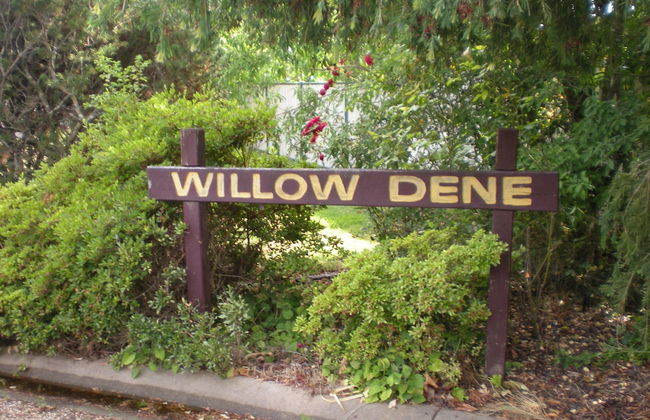 Willow Dene - Foto 17