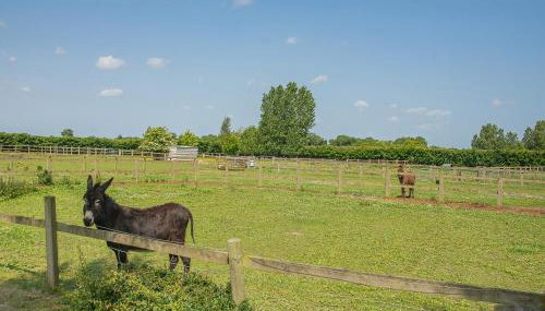 Bluebell- Uk31533 - Foto 2