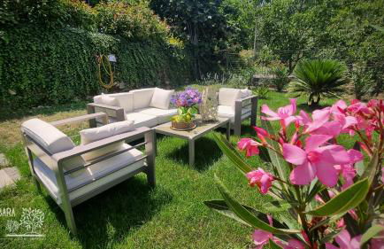 Barbara tra gli Ulivi - Foto 1