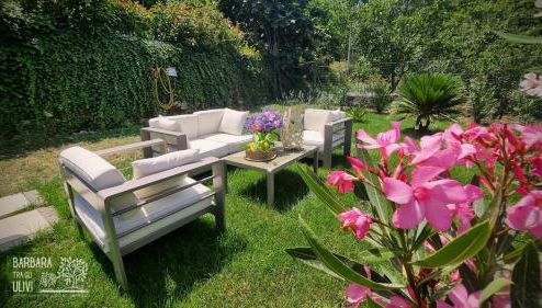 Barbara tra gli Ulivi - Foto 1, Garden