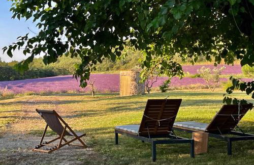 Mas du 18e siècle au calme entouré de champs de lavandes - Foto 10