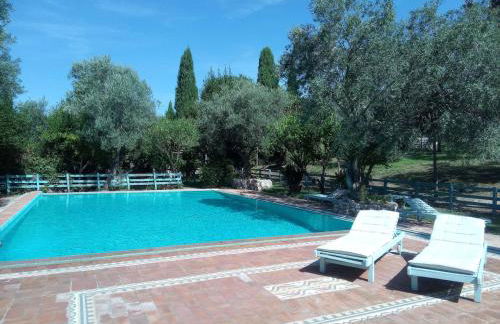 Deliziosa casa sull albero a 30 minuti da Roma - Foto 27