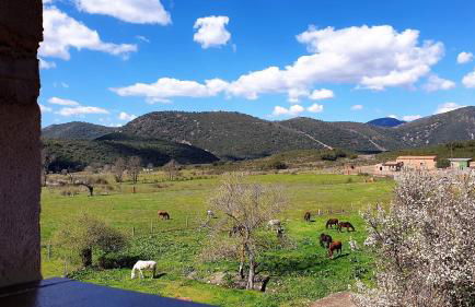 Casa con piscina en Parque Nacional de Cabañeros - Foto 44