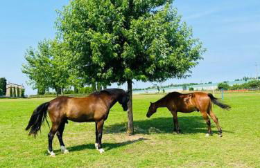 Tenuta Oasi del cavallo - Foto 11