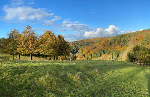 Stunning modern apartment in the Cotswolds sleeps six - Foto 55