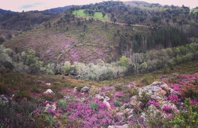 O Muíño da Balsiña - Foto 34