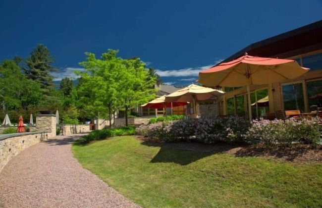 4 BR Dog-friendly Overlook at Topnotch - Photo 16