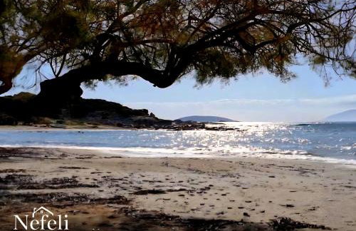 Grand Villa Nefeli - Pool & Jacuzzi - Foto 1