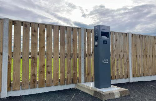 Little Curlew, Ynyslas, Borth - Foto 22
