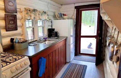 Secluded Lakeside Cabin in the Heart of the Manistee National Forest, Michigan - Foto 9