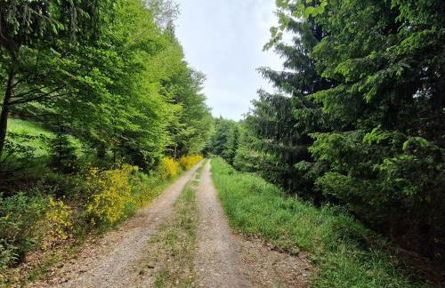 Ferienwohnung Ewigkeit - 4-Sterne DTV klassifiziert - Foto 19
