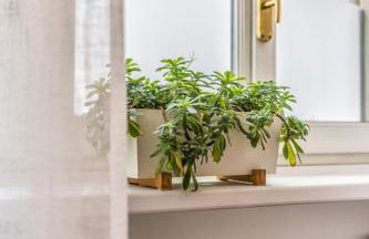 Loft Crocetta - Foto 25