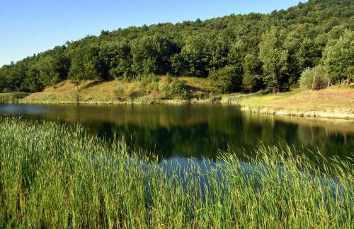 Baciano Azienda Agrituristico Venatoria - Foto 23