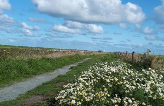 Urlaubsoase und Meehr - Foto 10