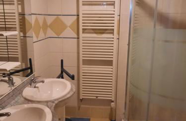 LES HIRONDELLES - Les gîtes du Der - - Foto 10